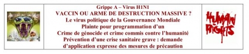 Grippe H1N1 année 2009.JPG